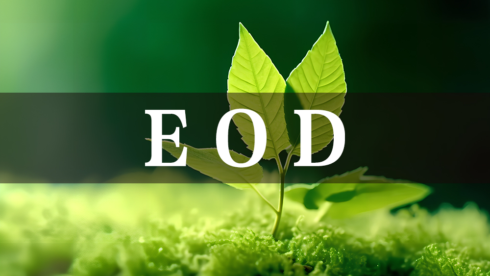 生态环境导向的开发（EOD）