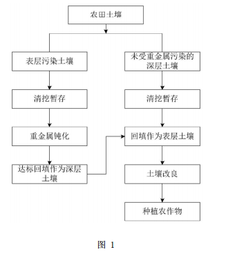 用于修复农田重金属污染土壤的复合方法的工艺流程图