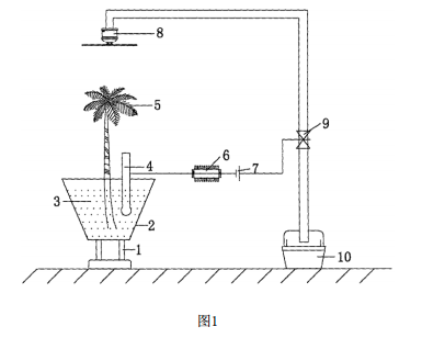 放射性污染土壤治理的植物修复系统的示意图